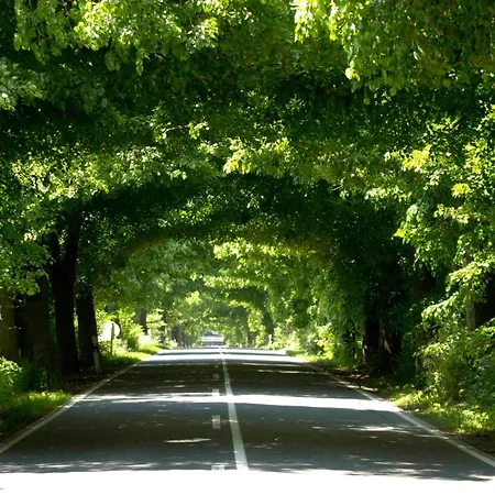 Ruegen Vilm Mit Seeblick Und Sonnenterasse Apartman Sellin